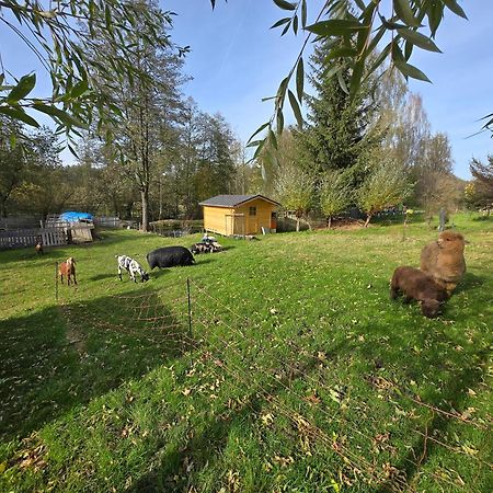 Farma U Lesa Apartment Hlinsko Luaran gambar