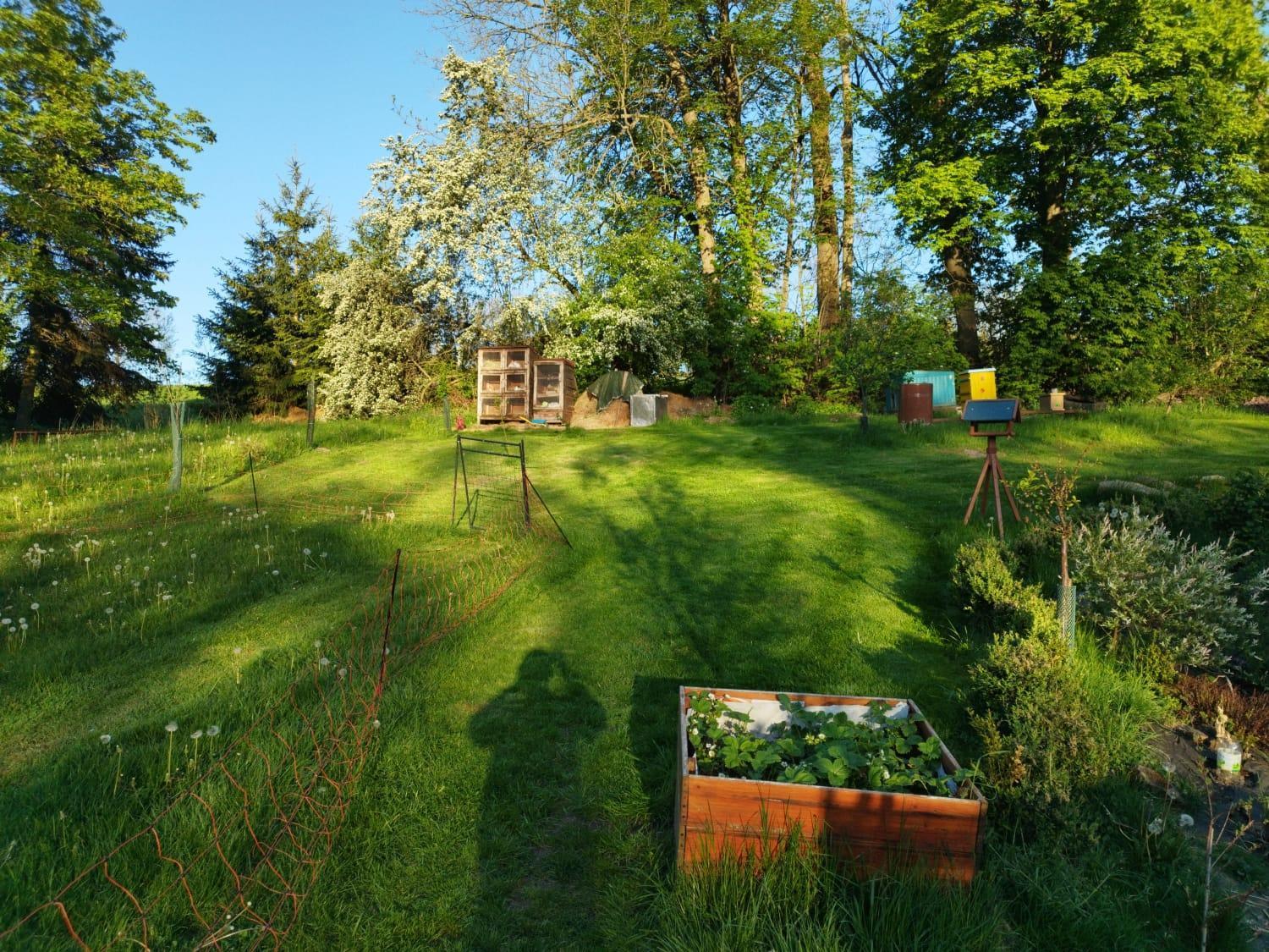 Farma U Lesa Apartment Hlinsko Luaran gambar